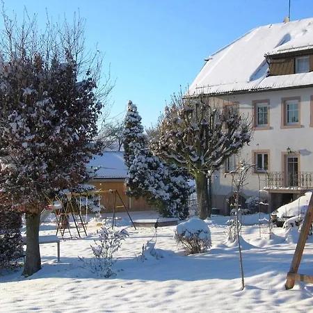 Siglinde Schneider Apartment Freiamt