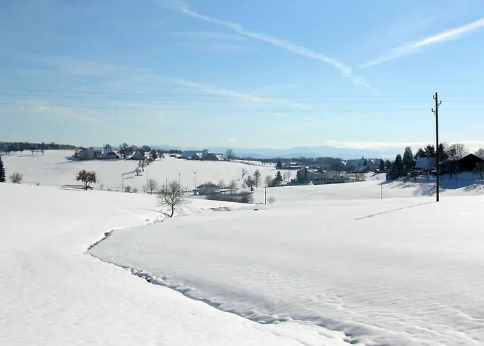 Siglinde Schneider *